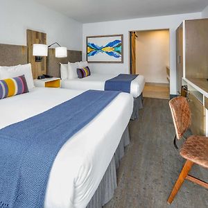 Queen Room Two Queen Beds Roll Shower View Disability Access